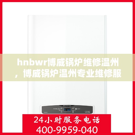 hnbwr博威锅炉维修温州，博威锅炉温州专业维修服务团队