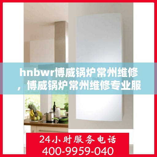 hnbwr博威锅炉常州维修，博威锅炉常州维修专业服务团队