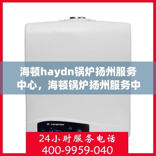 海顿haydn锅炉扬州服务中心，海顿锅炉扬州服务中心，专业维修与优质服务体验