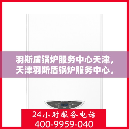 羽斯盾锅炉服务中心天津，天津羽斯盾锅炉服务中心，专业维护，高效运行