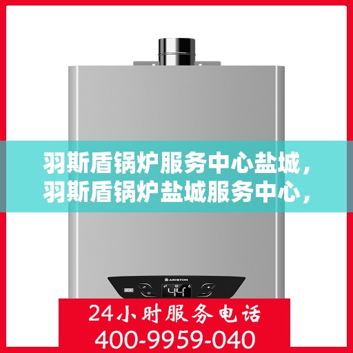 羽斯盾锅炉服务中心盐城，羽斯盾锅炉盐城服务中心，专业维护，高效运行
