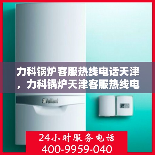力科锅炉客服热线电话天津，力科锅炉天津客服热线电话，专业支持与解决方案一站式服务