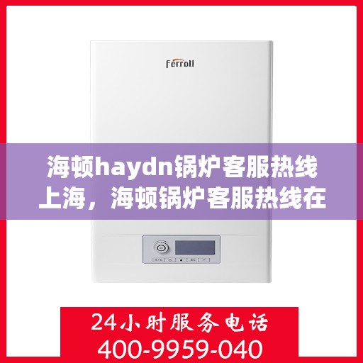 海顿haydn锅炉客服热线上海，海顿锅炉客服热线在上海，专业支持与解决方案一站式服务